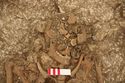 Thumbnail of Photo 12652 Skeleton 605723 skull