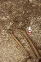 Thumbnail of Photo 13341 Skeleton 605735 feet
