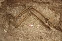 Thumbnail of Photo 13343 Skeleton 605735 legs