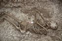 Thumbnail of Photo 13344 Skeleton 605735 abodmen