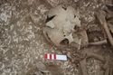 Thumbnail of Photo 13346 Skeleton 605735 skull no scale