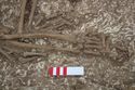 Thumbnail of Photo 13347 Skeleton 605735 right hand