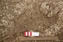 Thumbnail of Photo 13349 Skeleton 606577 no board