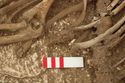 Thumbnail of Photo 13351 Skeleton 605735 Iron blade