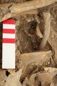 Thumbnail of Photo 13354 Skeleton 605735 glass beads and Iron fragment