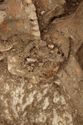 Thumbnail of Photo 13357 Skeleton 605735 Iron fragment no scale