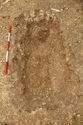Thumbnail of Photo 13524 Skeleton 605404 no board
