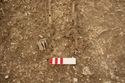 Thumbnail of Photo 13525 Skeleton 605404 feet