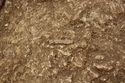 Thumbnail of Photo 13528 Skeleton 605404 Iron knife no scale