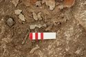Thumbnail of Photo 13532 Skeleton 605404 Copper disc and long brooches, Copper toilet set