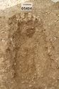Thumbnail of Photo 13535 Skeleton 605404
