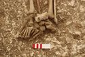 Thumbnail of Photo 13725 Skeleton 605389 feet