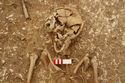Thumbnail of Photo 13730 Skeleton 605389 skull