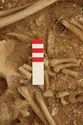 Thumbnail of Photo 13733 Skeleton 605389 Iron blade