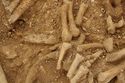 Thumbnail of Photo 13734 Skeleton 605389 Iron blade no scale