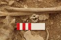 Thumbnail of Photo 13735 Skeleton 605389 Iron buckle