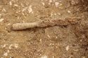 Thumbnail of Photo 13738 Skeleton 605389 Iron spear no scale