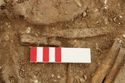 Thumbnail of Photo 14068 Skeleton 605389, Iron tweezers