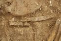 Thumbnail of Photo 14069 Skeleton 605389, Iron tweezers no scale