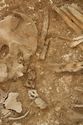 Thumbnail of Photo 14072 Skeleton 605389, Iron buckles and tweezers no scale
