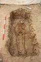 Thumbnail of Photo 14074 Skeleton 605395 no board