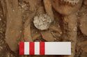 Thumbnail of Photo 14081 Skeleton 605395 Copper saucer brooch, right