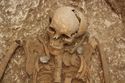 Thumbnail of Photo 14086 Skeleton 605395 skull no scale