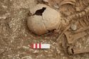 Thumbnail of Photo 14087 Skeleton 605395 skull, plan