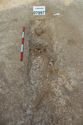 Thumbnail of Photo 14218 Skeleton 607097