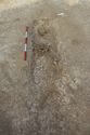 Thumbnail of Photo 14219 Skeleton 607097 no board