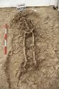 Thumbnail of Photo 14349 Skeleton 605729