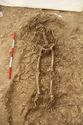 Thumbnail of Photo 14350 Skeleton 605729 no board