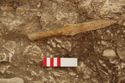 Thumbnail of Photo 14355 Skeleton 605729 Iron spear