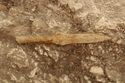 Thumbnail of Photo 14356 Skeleton 605729 Iron spear no scale