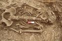 Thumbnail of Photo 14359 Skeleton 605729 abdomen