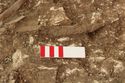 Thumbnail of Photo 14435 Skeleton 605729 Iron knife