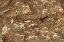 Thumbnail of Photo 14436 Skeleton 605729 Iron knife no scale