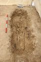 Thumbnail of Photo 14528 Skeleton 606975