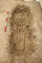 Thumbnail of Photo 14529 Skeleton 606975 no board