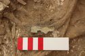 Thumbnail of Photo 14545 Skeleton 606975 brooch