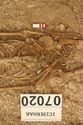 Thumbnail of Photo 15032 Skeleton 607020 overview of grave goods