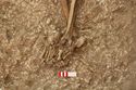 Thumbnail of Photo 15034 Skeleton 607020 feet