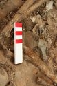 Thumbnail of Photo 15039 Skeleton 607020 Copper belt fittings detail