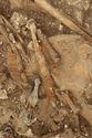 Thumbnail of Photo 15042 Skeleton 607020 Iron blade no scale