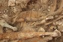 Thumbnail of Photo 15044 Skeleton 607020 bone comb no scale