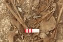 Thumbnail of Photo 15045 Skeleton 607020 pelvis with belt fittings and bone comb