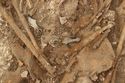 Thumbnail of Photo 15046 Skeleton 607020 pelvis with belt fittings and bone comb no scale