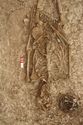 Thumbnail of Photo 15047 Skeleton 607020 abdomen