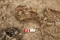 Thumbnail of Photo 15050 Skeleton 607020 skull, right side