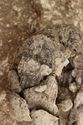 Thumbnail of Photo 15056 Skeleton 607020 cremation vessel, detail of decoration